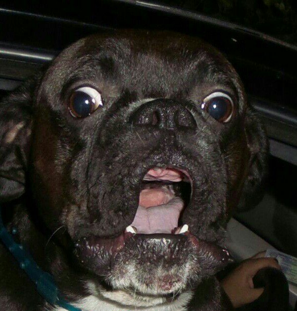 Tanu Castillo tweet media