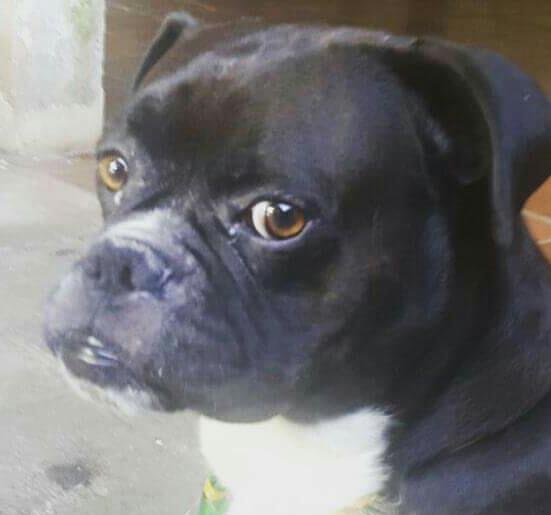 Tanu Castillo tweet media