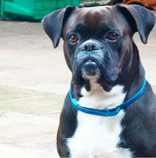 Tanu Castillo tweet media