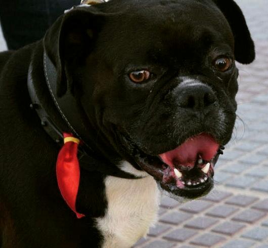 Tanu Castillo tweet media