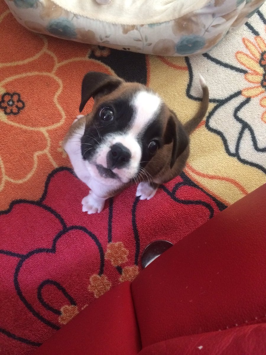 nesthebes's tweet photo. this is how I spent my day today @abbyhuff11 https://t.co/WoBVVWcSpl