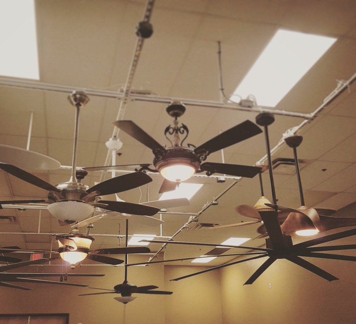 eastvalleyfans's tweet photo. 20 fans installed & 100 more to go. You won't find a bigger selection anywhere in AZ! #evfb #localaz #smallbiz https://t.co/51p4N5svao