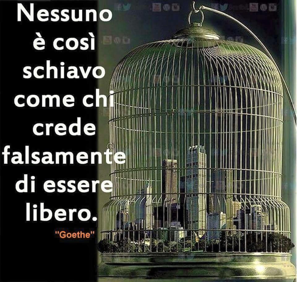 pinodipasquale's tweet photo. https://t.co/LaGTpVtvs5