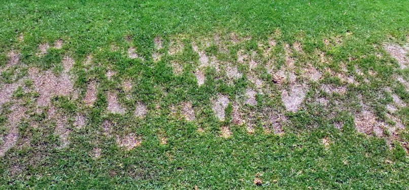 GolfDigest's tweet photo. This is the absolute WORST way to take divots on the range: https://t.co/pMCf4IsSnv https://t.co/L6puAVv6PW