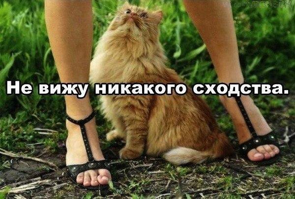 Рыбку учуял