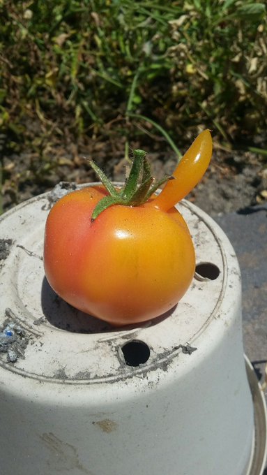 You happy to see me? https://t.co/0tARj4MtWs