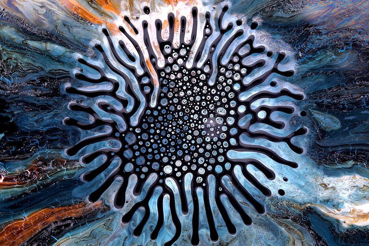 New Scientist tweet media