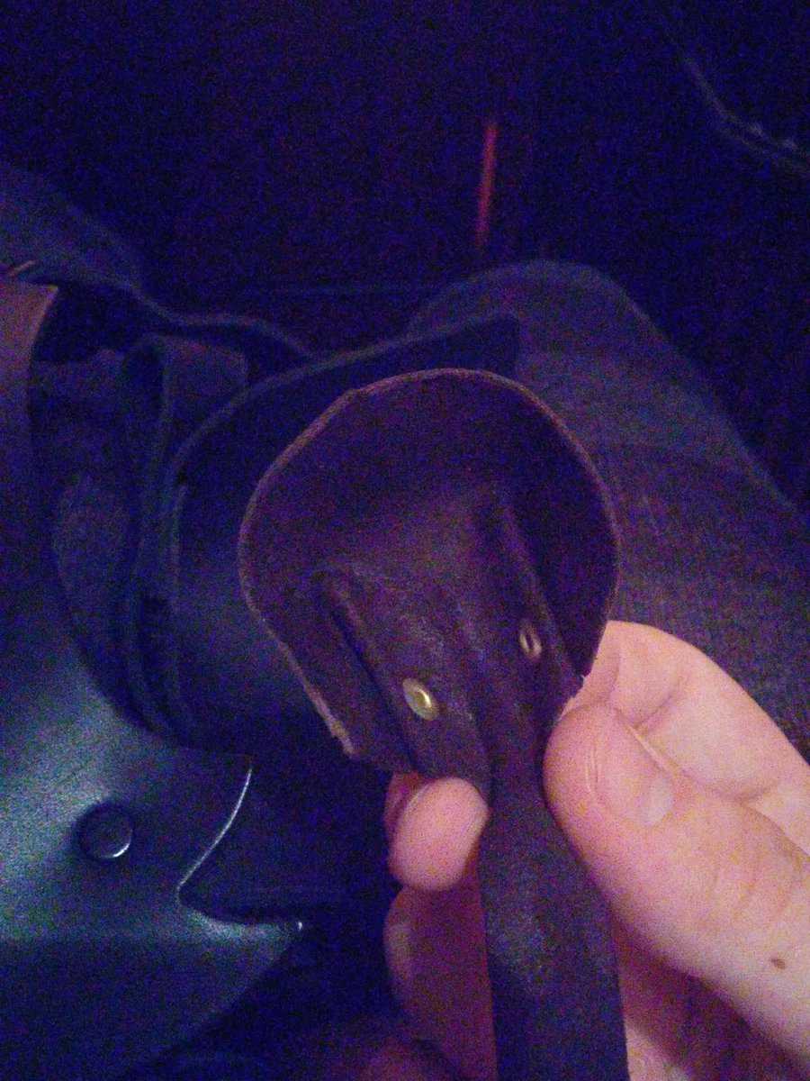 Pup Zero tweet media