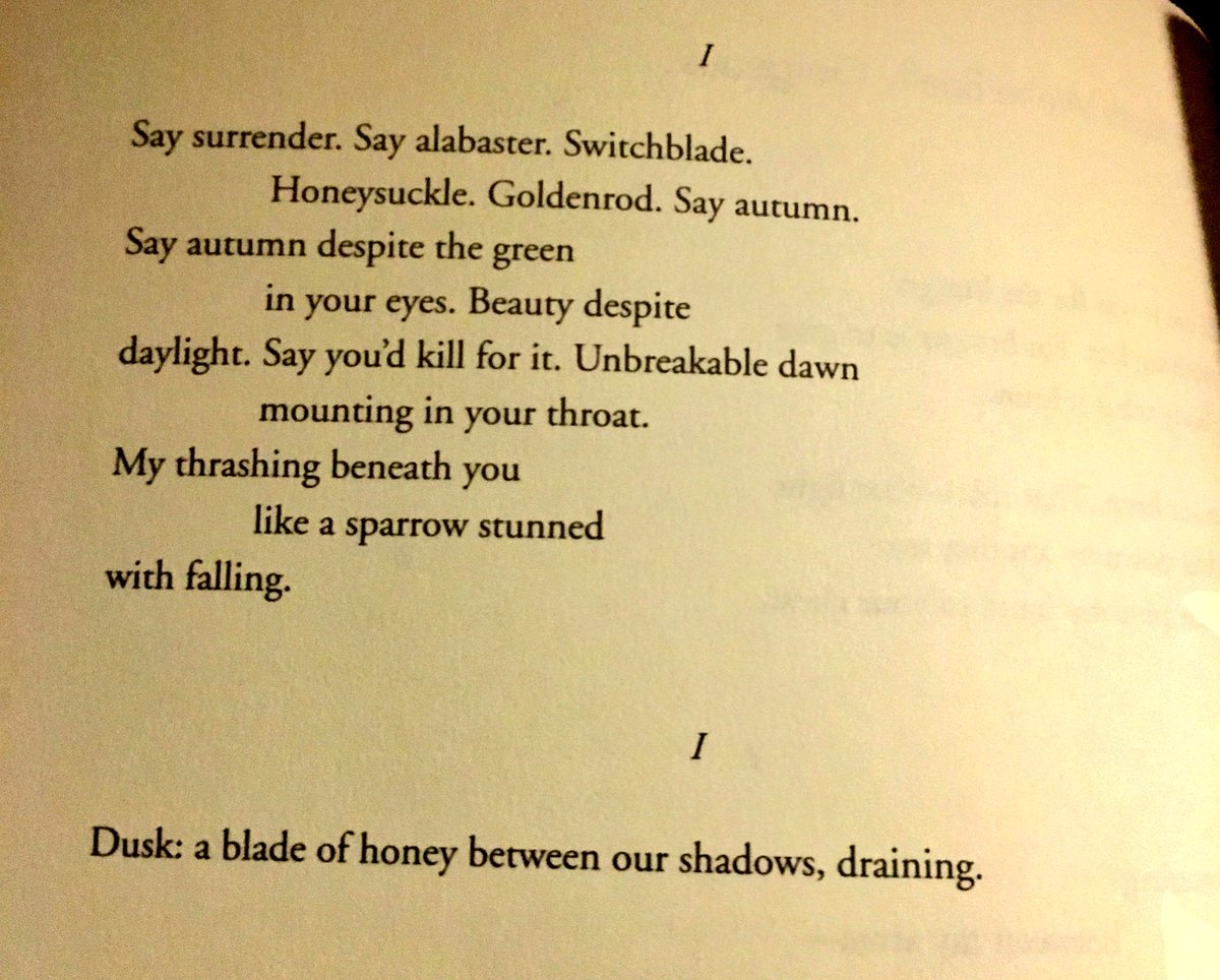 the night sky with exit wounds the night sky with exit wounds