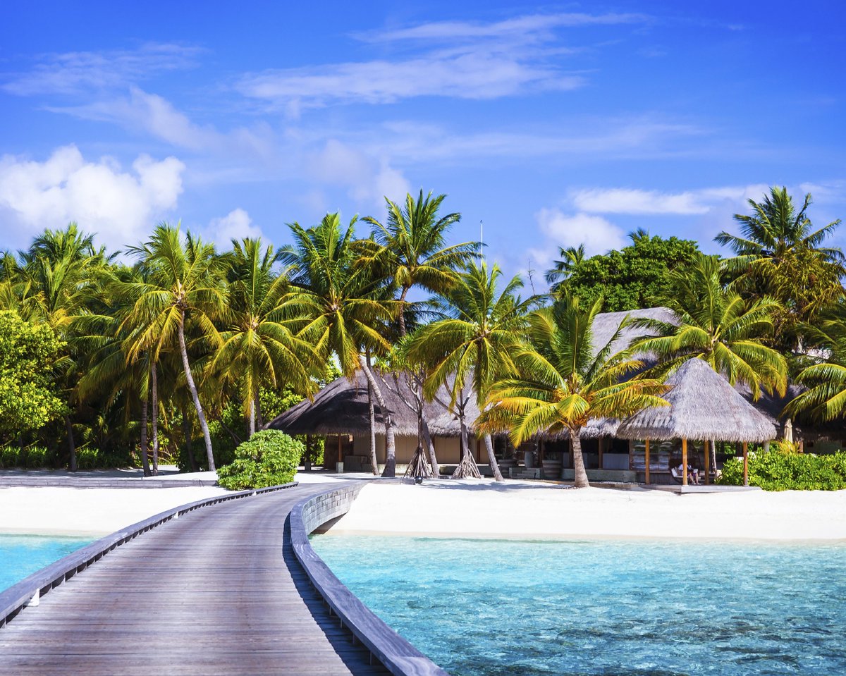 icelollyholiday's tweet photo. The difference between a day at work &amp; a day at the beach?

One’s a chore, one’s perfection. Guess which is which... https://t.co/sSEh98tt9V