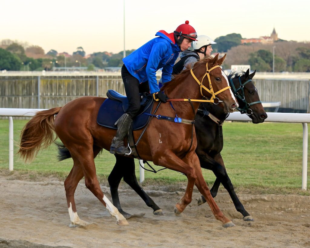 Woman Thoroughbred Horse Racing and Breeding Forums Page 1