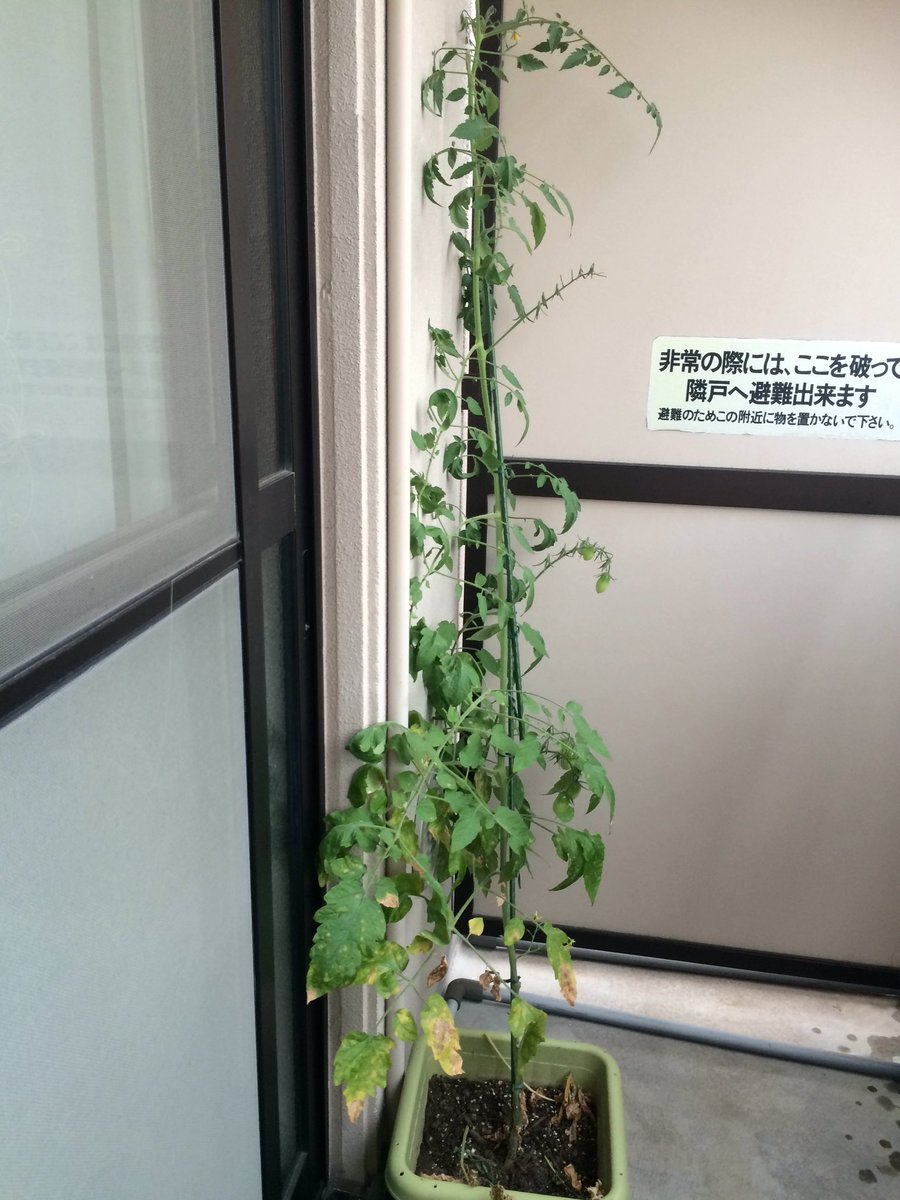 b156992's tweet photo. https://t.co/Mv5a1RoMHV