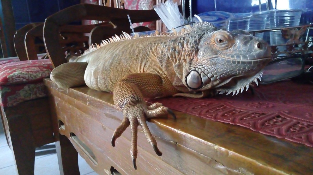 Sore2 gini ngaso dulu yaa kir😄