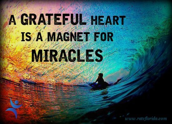 thesecret's tweet photo. When you put all of your energy into gratitude, you will attract miracles. https://t.co/OkCUDeMVt7