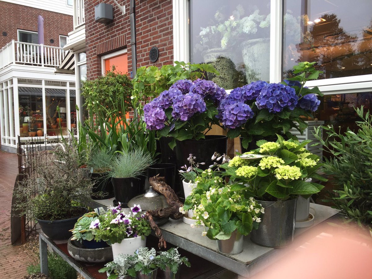 Weer mooie tuinplanten binnen.