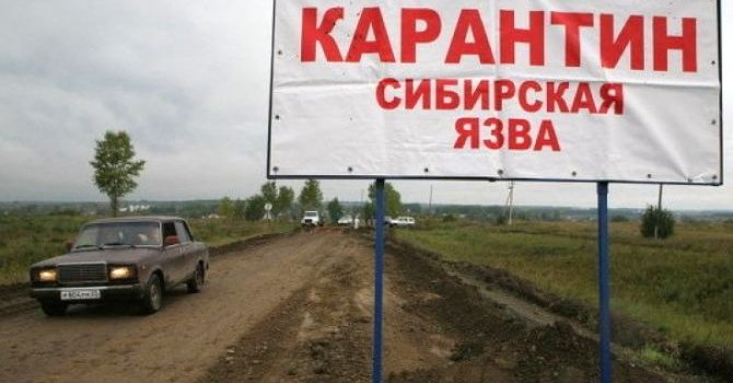 В оккупированном Симферополе неизвестные штурмовали офис адвокатов крымских татар - Цензор.НЕТ 7089