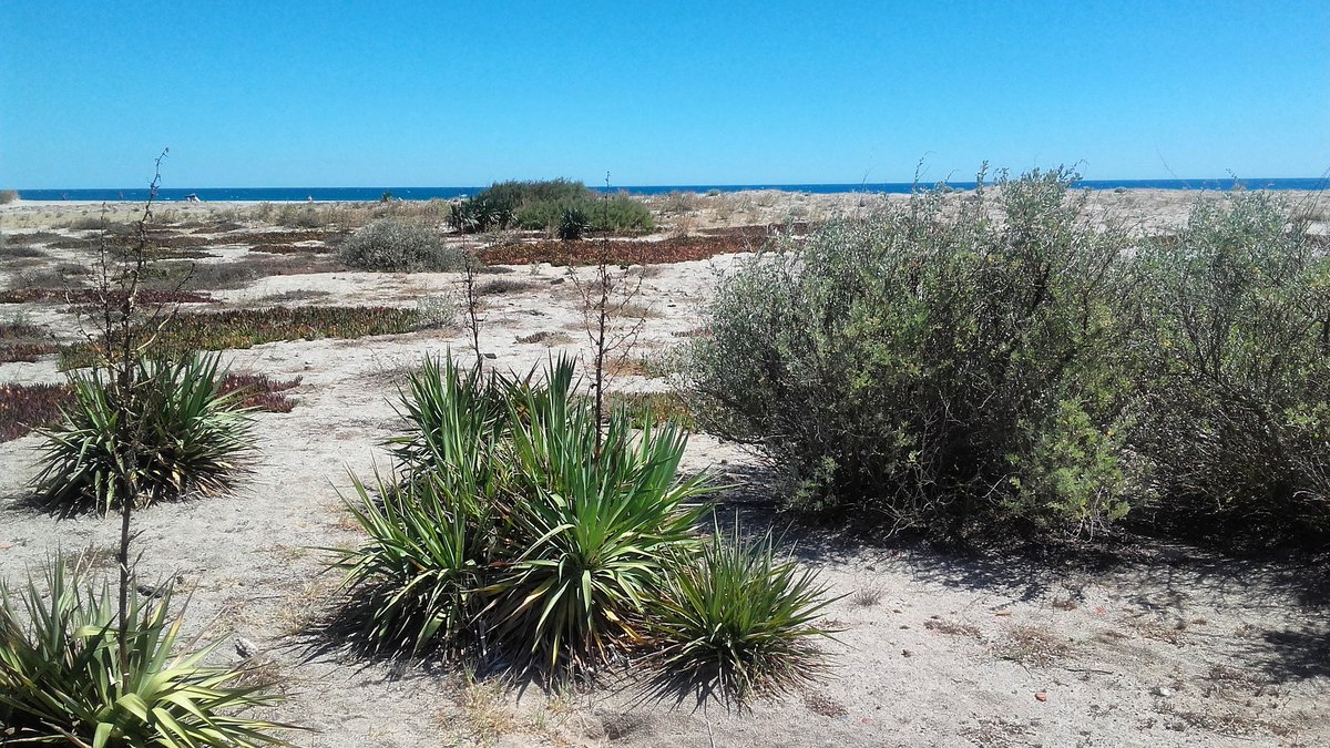 romybe's tweet image. Les vacances ! #Summer #pyreneesorientales #travelblogger