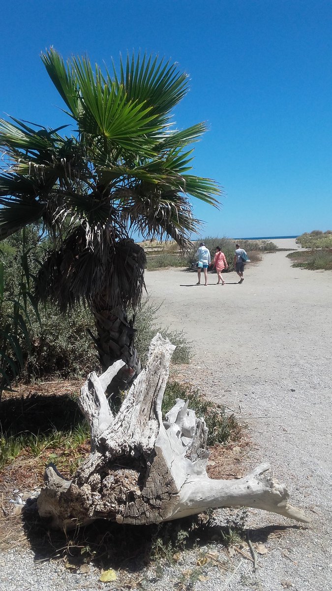 romybe's tweet image. Les vacances ! #Summer #pyreneesorientales #travelblogger