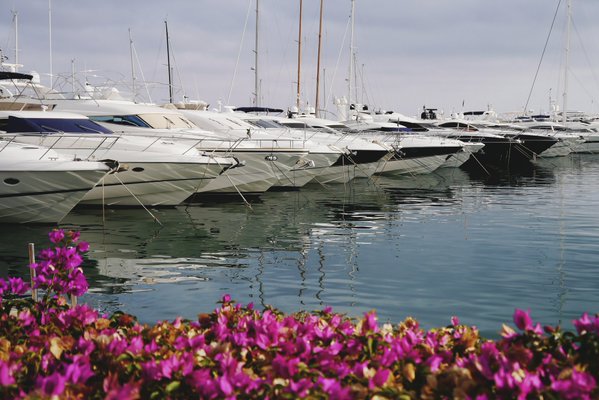 #SUNSEEKER 60 PREDATOR FOR CHARTER !!
#Mallorca #Menorca <a href="/Ibizaretweets/">IbizaRetweets</a> <a href="/PuertoPortals/">Puerto Portals</a> 
info@internautic-yachts.com