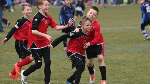 Our friends at <a href="/MeadowSportsFC/">meadow sports fc</a> are marking their 50 year anniversay in September! Details -> bit.ly/2aN4DwE