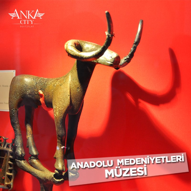 Şehri keşfedelim!

ankacity.com.tr | (0312) 223 7 000