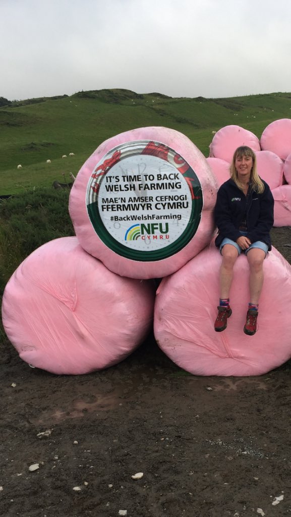 sionedllanfor's tweet photo. Nfu Cymru Llanrwst yn ymuno yn ymgyrch Cefnogwch Ffermwyr Cymru ar y 'big bales' @NFUCymru https://t.co/yJq3gp6sJy