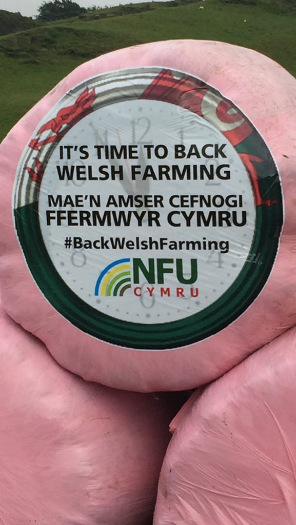 sionedllanfor's tweet photo. Nfu Cymru Llanrwst yn ymuno yn ymgyrch Cefnogwch Ffermwyr Cymru ar y 'big bales' @NFUCymru https://t.co/yJq3gp6sJy