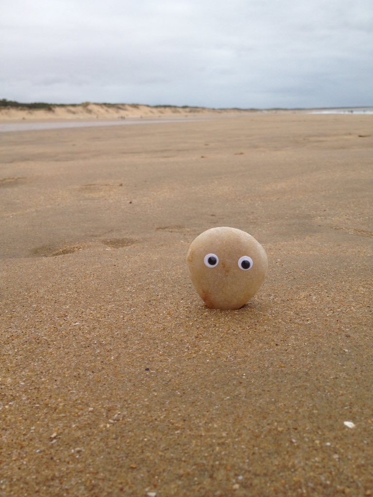 NewhouseGeog's tweet photo. Not quite beach weather today. #sadrockface #SMrocks https://t.co/4S0MZS6rTc