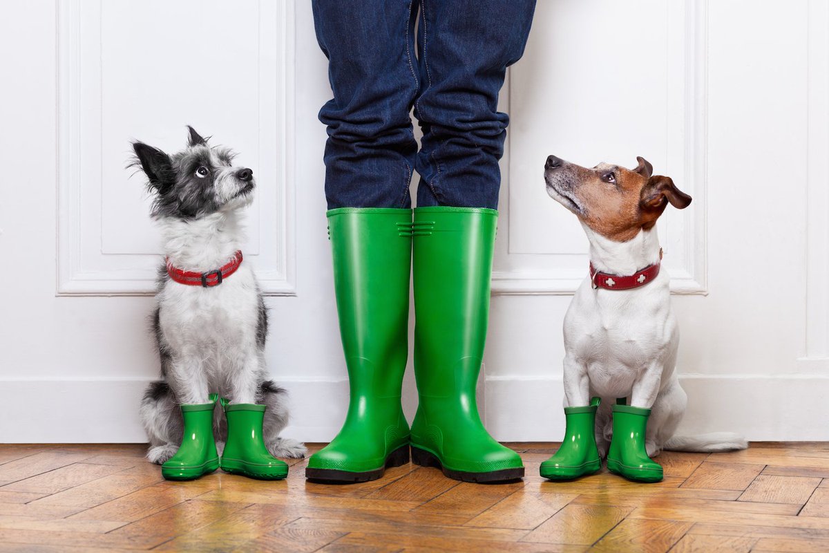 HiddenValleyUK's tweet photo. Wellie weather. Wherever you go in the lovely Cornish mizzle today don't forget your puddle jumpers!! https://t.co/rc3xgsKEtt