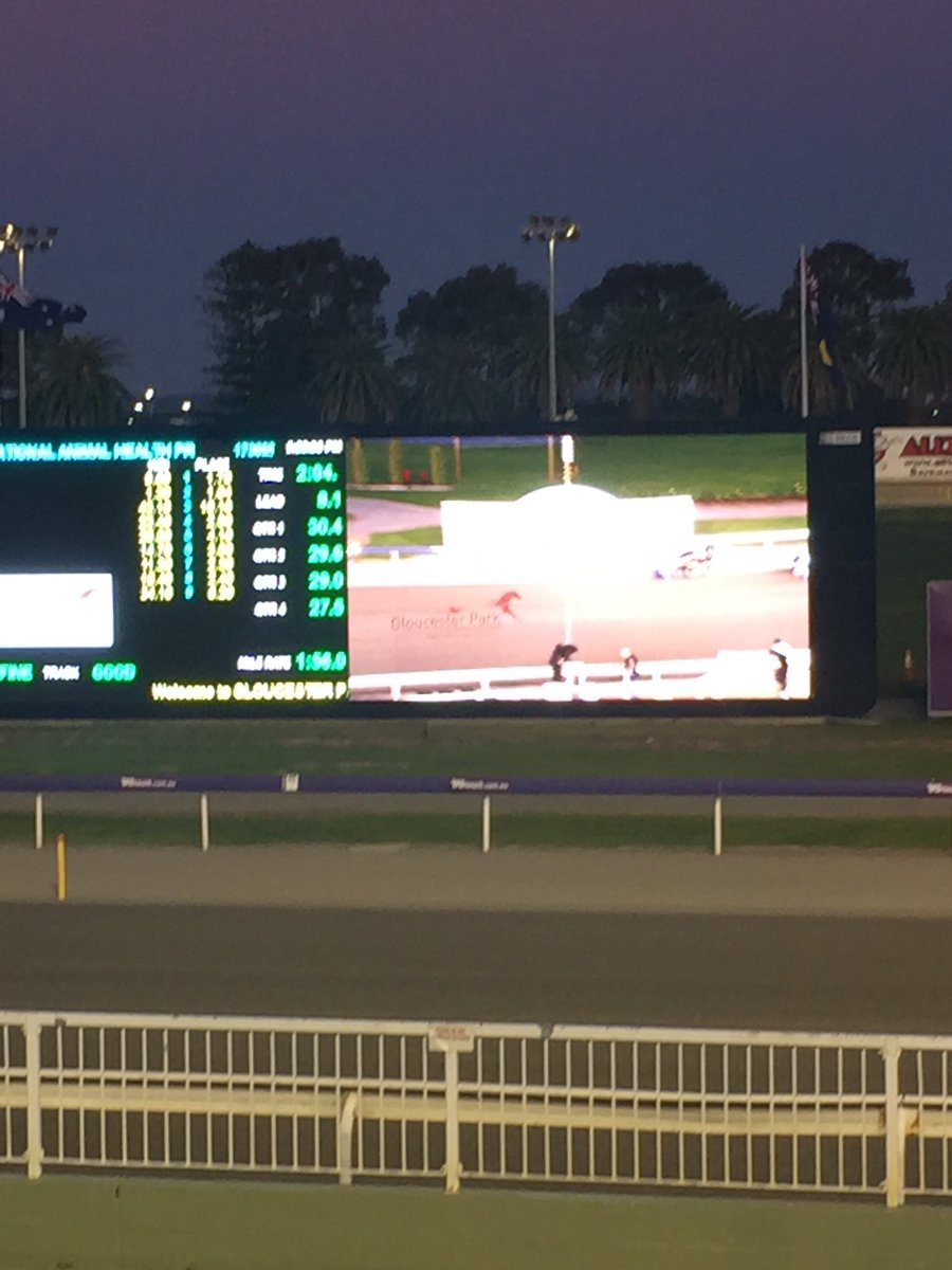 tdubperth's tweet photo. GP goes digital @GloucesterPark @RWWA_Harness https://t.co/ExV8LsDH6L