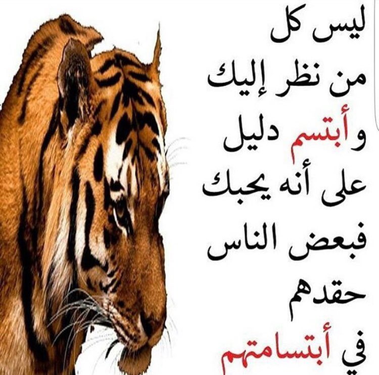 LayaleNajd22's tweet photo. https://t.co/01JOyz5g7J