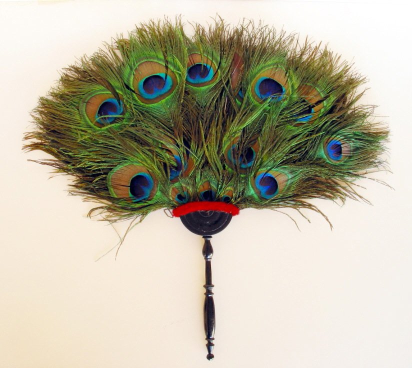 MNAD_Madrid's tweet photo. ¡Uff, qué calor! #CadaDiaUnAbanico Pai-pai de plumas de pavo real procedente de la India,1890 #culturaenverano https://t.co/WC9WMKy5qe