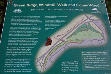 BHCityinBloom's tweet photo. Peacock butterfly #Aglaisio perusing noticeboard. #GreenRidge #ConeyWood #WindmillWalk #nature #conservation https://t.co/StfxUfy7MU