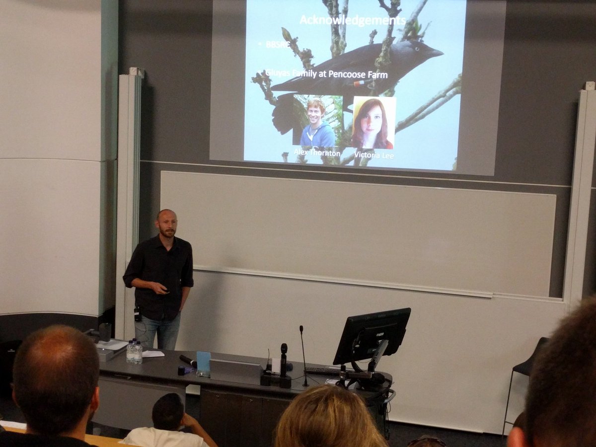 HarryHMarshall's tweet photo. Scold calls from others stop jackdaws habituating to a harmless stimulus @GuillMcIvor @CornishJackdaws #ISBE_Exeter https://t.co/PQCgQ7Geqj