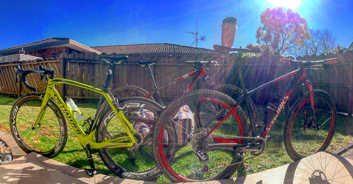 Hayden_Wilde tweet media