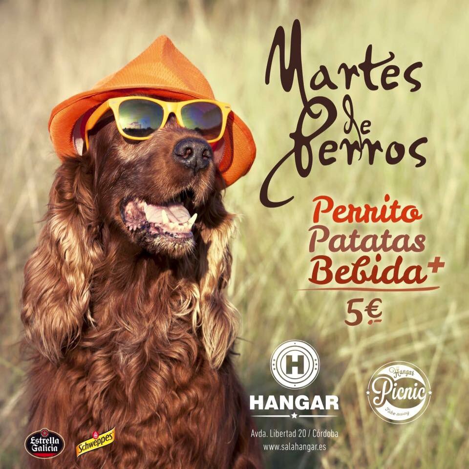 hangarpicnic's tweet photo. Metes de perros ! #promo #CordobaEsp #perritosconestilo https://t.co/f0HZoV1gxQ