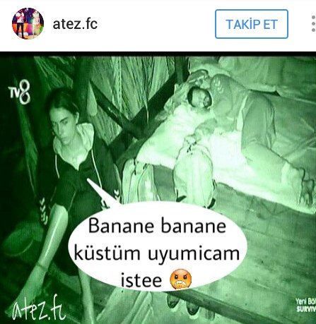 Abi gittim geldm hala mi kus beyinlisiniz ya