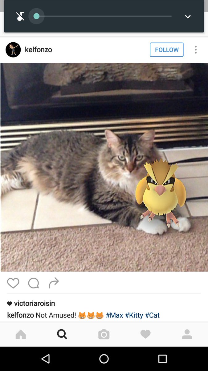 nomonews's tweet photo. As Nathan failed at his task 🙄 vote on which of these actual #PokemonGO selfies is the best. RT 1, 2 or 3 to vote 📮 https://t.co/BMtG8S4CgZ