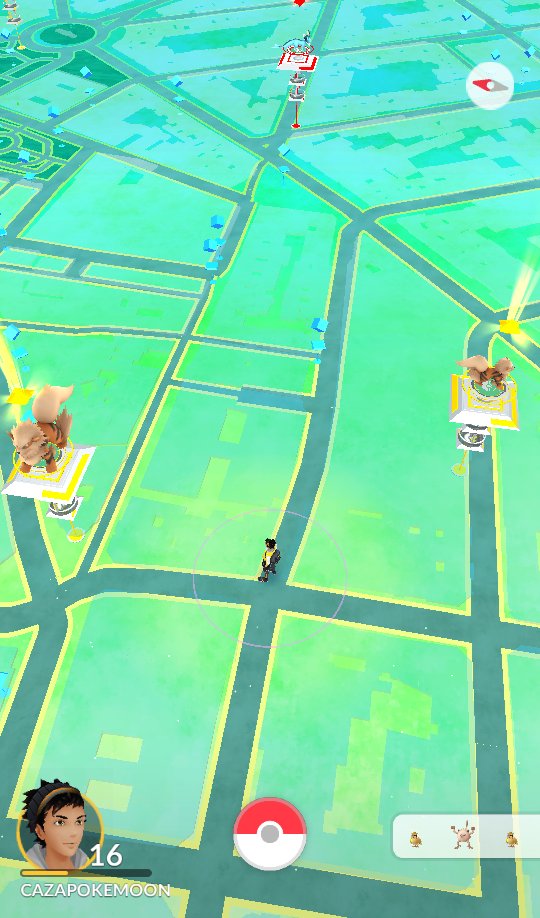PokeparadasES's tweet photo. Mis Arcanines en los GYM @TeamInstinctAlm  @TeamInstinto_ES https://t.co/hkegrybuGG