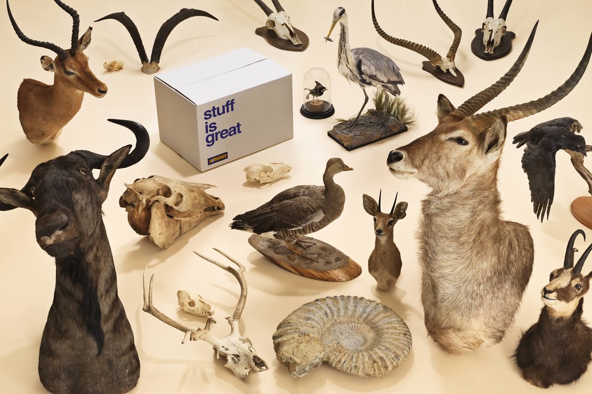 we_heart's tweet photo. WIN: faux taxidermy up for grabs, as @SafestoreLtd remind us that #StuffisGreat... https://t.co/ZJhG1HVT34 #ad https://t.co/ab2HYSB2OE