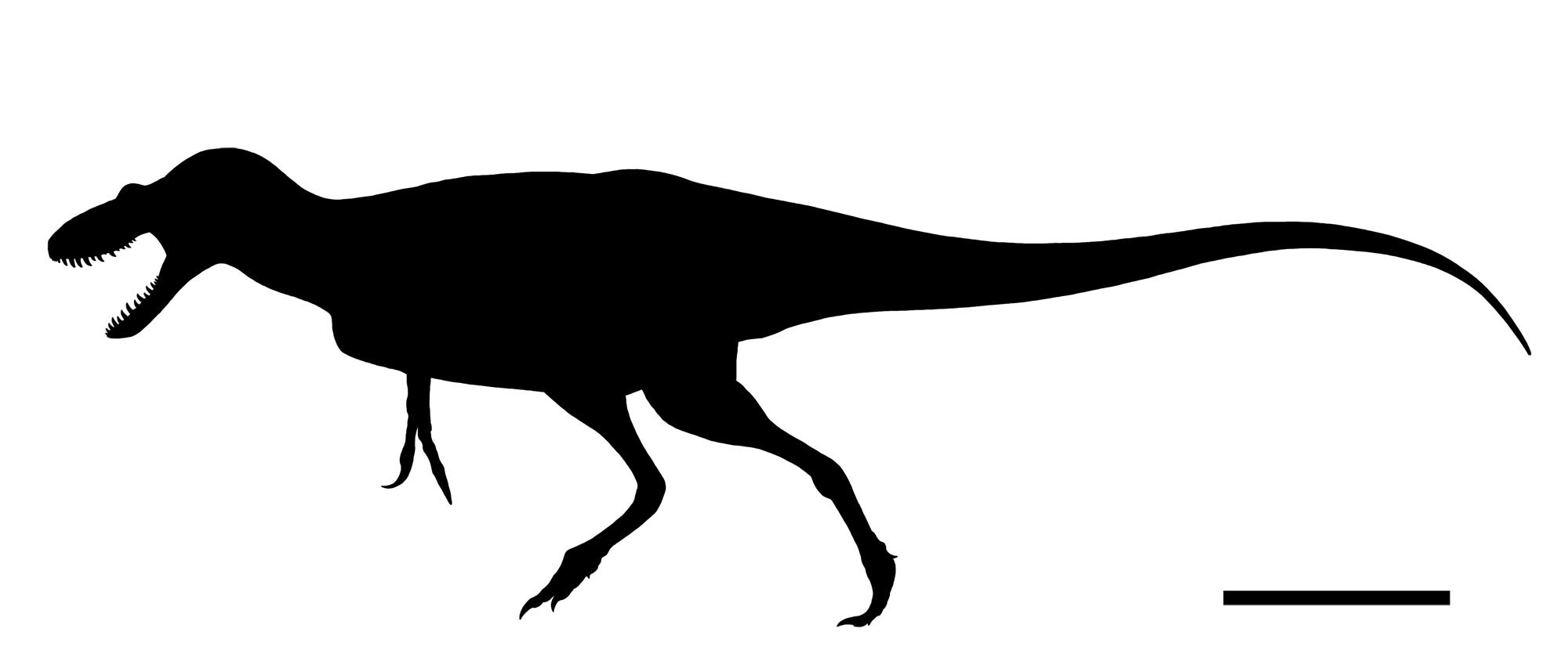 らえらぷす 新 恐竜骨格図集 発売中 ティムーレンギアくん 大体こんな感じだと思うけど化石が化石なので察してほしい T Co W1ypuuxafd Twitter