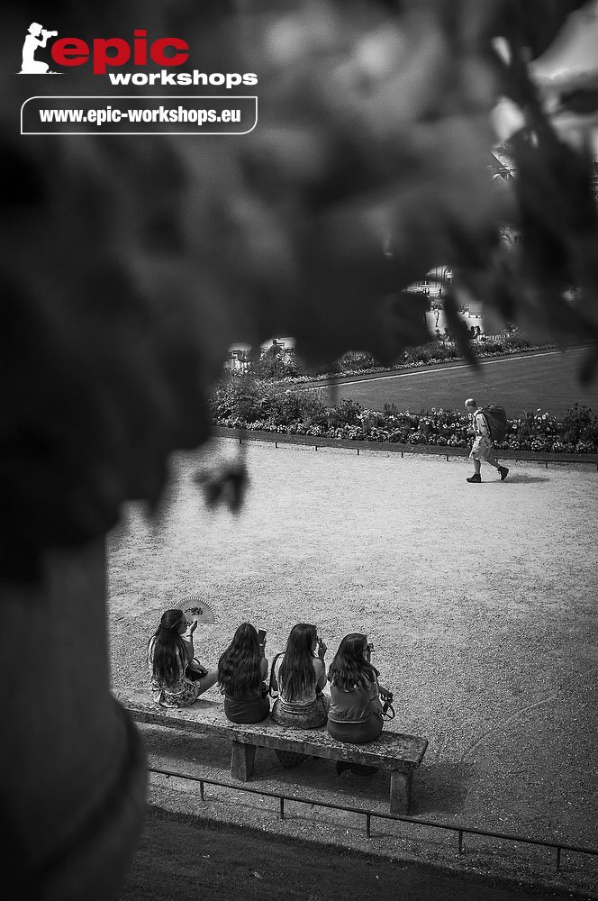 PHOTOCHRISTOPHE's tweet photo. Retour aux sources : balade dans les Jardins du Luxembourg...
Un stage photo "classique" vous tente ? contactez nous https://t.co/igp2nFRxnb