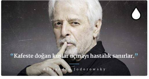 Metin Karadağ Twitterren Kafeste Doğan Kuşlar Uçmayı