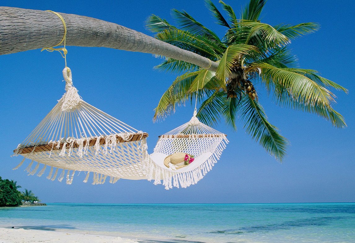 XLBayTravel's tweet photo. When is your next vacation? https://t.co/jkX6AdFDo0