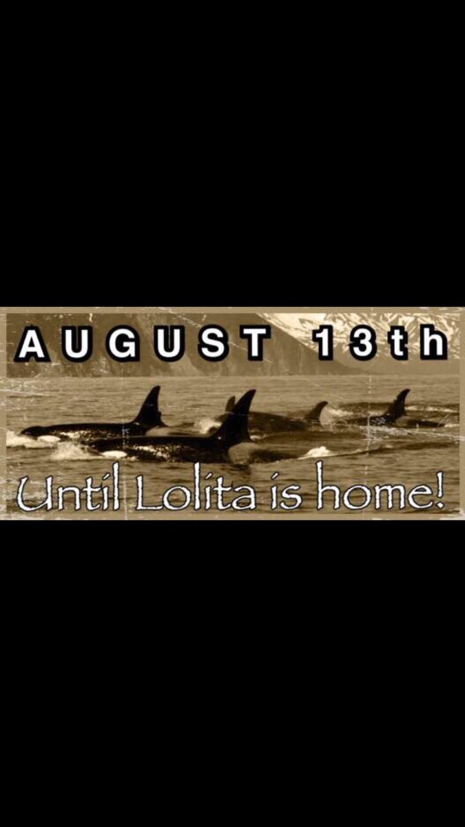 nixosus's tweet image. #ReleaseLolita #ShutDownPalace #CaptivityKills .