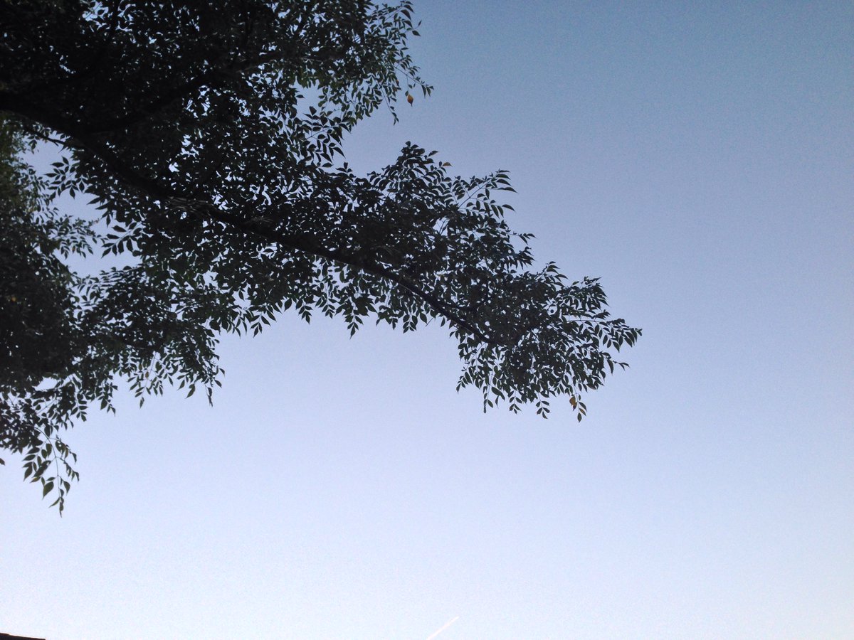 Manuel78332's tweet photo. 7:11 skies https://t.co/DNNCT6WAJa https://t.co/pToXbaWYep