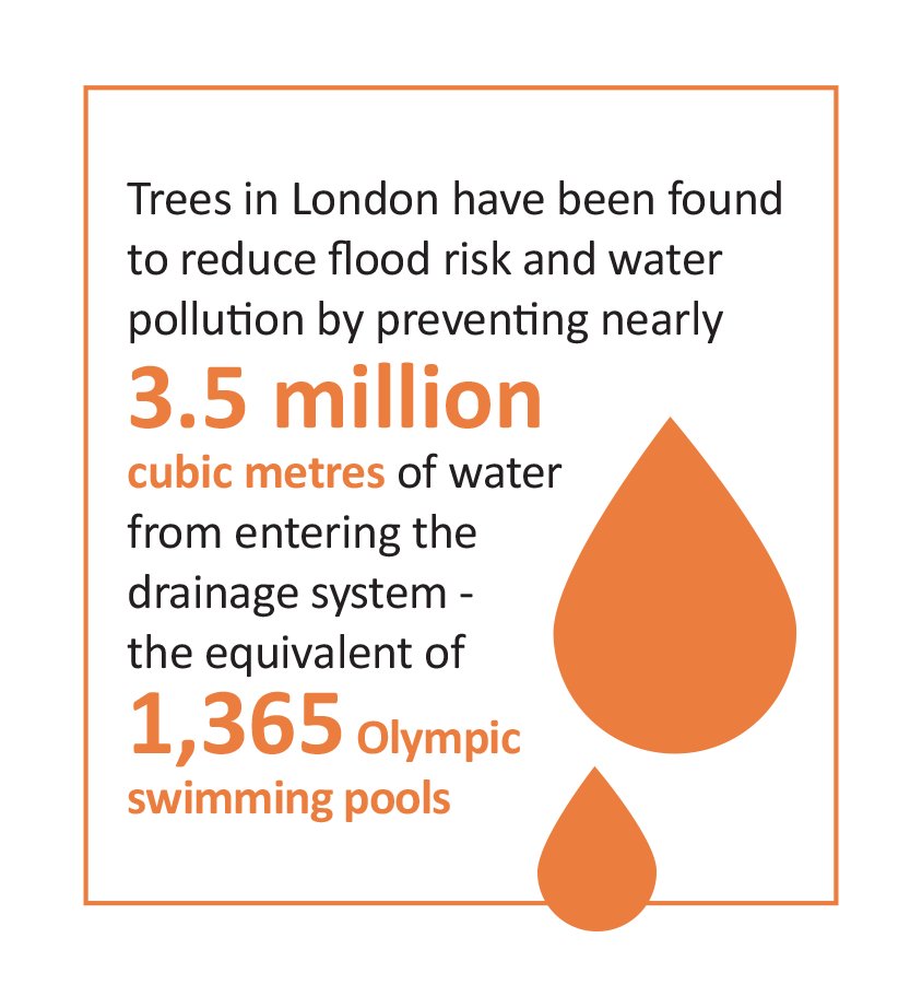 #UrbanTrees can help reduce flood risk and water pollution in our cities! #CharityTuesday ow.ly/aLuk302fnGN