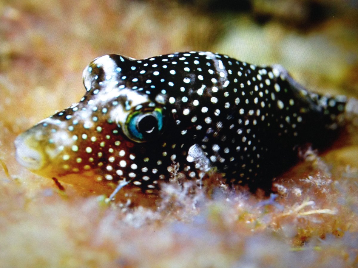 Erika Ricci (@huesos07) | Twitter