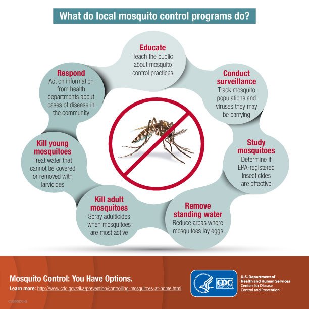 CDCgov's tweet image. Mosquito control activities can reduce mosquitoes incl. those that spread viruses like #Zika, West Nile &amp;amp; dengue.