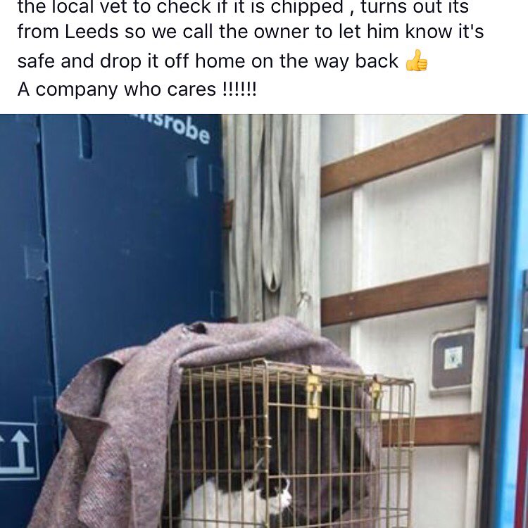 ThomsonRemovals's tweet photo. Cat safely delivered back to its owner .... A company who cares 👍🏼❤️@bartstraining @BARremovers https://t.co/NsbLkPf6Rk